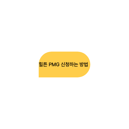 힐튼PMG